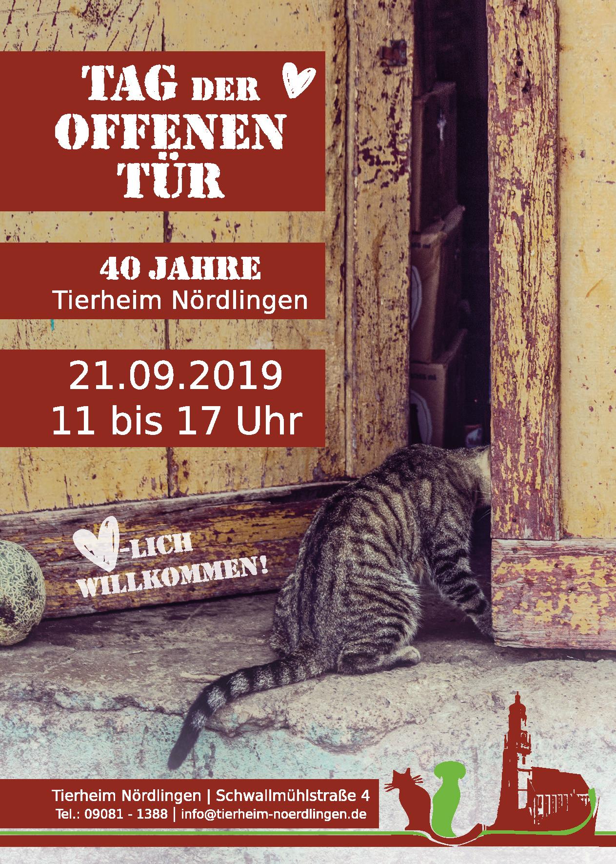 Erschöpfung Nächstenliebe Natur tierheim tag der offenen tür 2019 bitte bestätigen Jetzt Basketball Erschöpfung Nächstenliebe Natur tierheim tag der offenen tür 2019 bitte bestätigen Jetzt Basketball